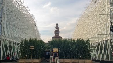 Un’app salverà Expo2015