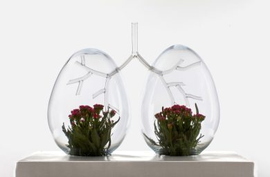 Premio Terna: ecco i vincitori