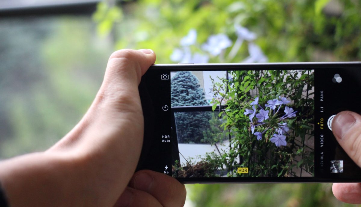 Galleria foto 'iPhone 6 o 6 Plus: qual è il migliore?' - foto 6