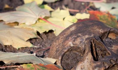 5 gialli d’autunno