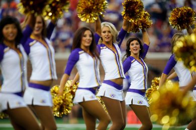 Cheerleader: Minnesota Vikings
