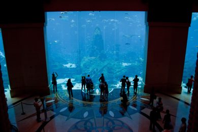 Atlantide: la città hi-tech che vive sott’acqua