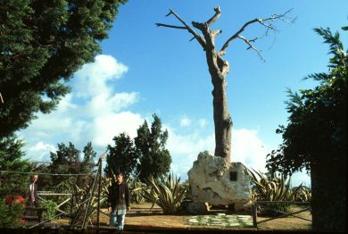 Sprechi Sicilia: 66 funzionari per custodire la memoria di Pirandello