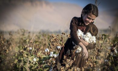 Le foto più belle della settimana – 14/20 novembre