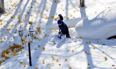 Buffalo sotto 2 metri di neve, le foto