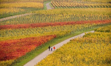 Il bello dell’autunno in 15 foto