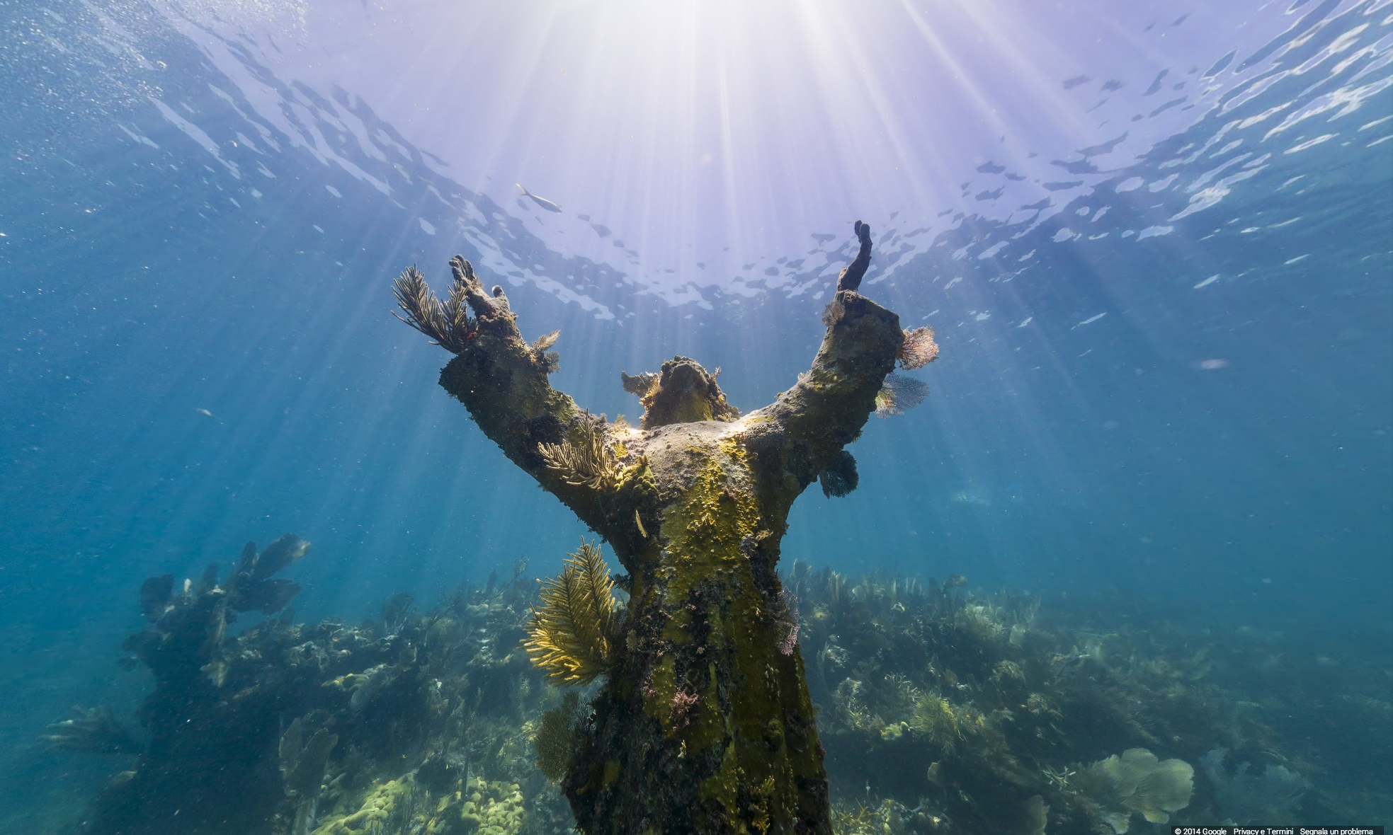 Google Street View sui fondali delle Florida Keys
