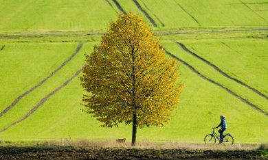 Le foto più belle della settimana – 31 ottobre/6 novembre