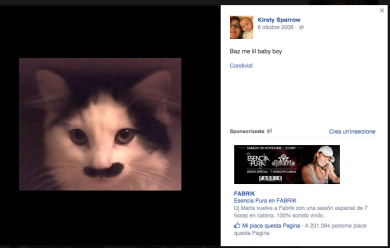 Baz, il gatto massacrato perché somiglia a Hitler