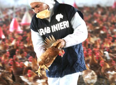 Alimenti, farmaci, doping: 10 operazioni dei Nas nel 2014