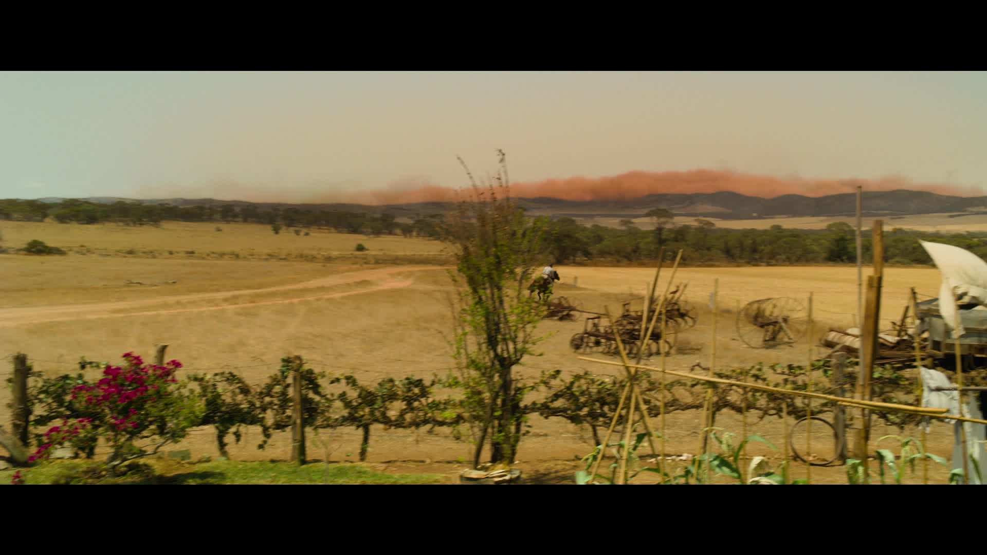 The Water Diviner, un estratto del film The Water Diviner, un estratto del film