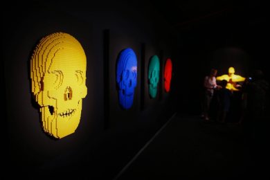 “Art of The Brick”. Mattoncini Lego in mostra a Città del Capo