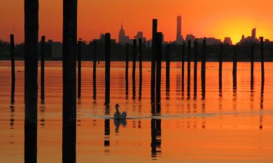 Le foto più belle della settimana – 12/18 dicembre