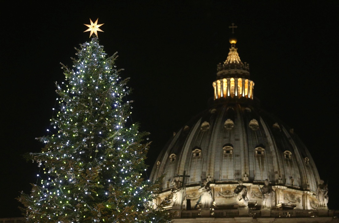 Illuminato l’albero di Natale in San Pietro, le foto Illuminato l’albero di Natale in San Pietro, le foto