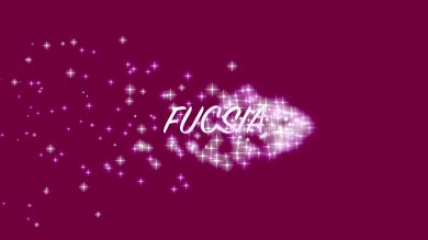 La tavola di Natale: fucsia