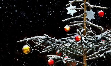 Alberi di Natale nel mondo