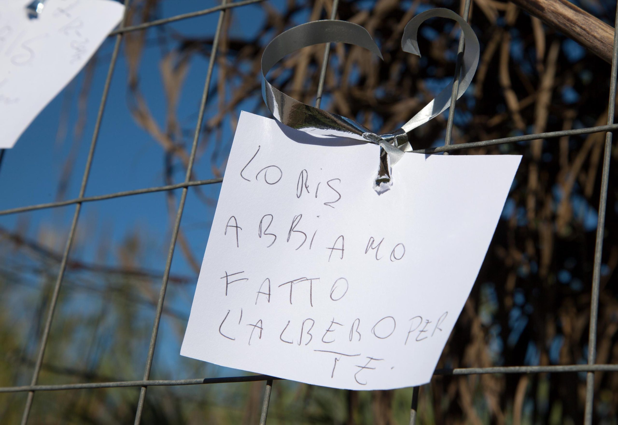 Loris e il senso di abbandono della madre
