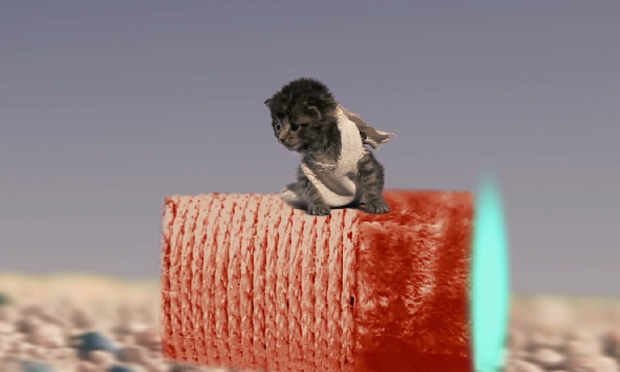 Star Wars VII, il trailer con i gattini Star Wars VII, il trailer con i gattini