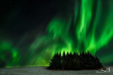 Barbara Dall’Angelo, “Fotografia senza confini”