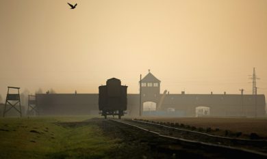 Shoah, 5 libri per il Giorno della Memoria