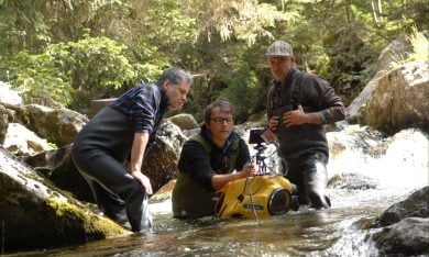 Minuscule, l’emozionante mondo degli insetti – Foto del backstage