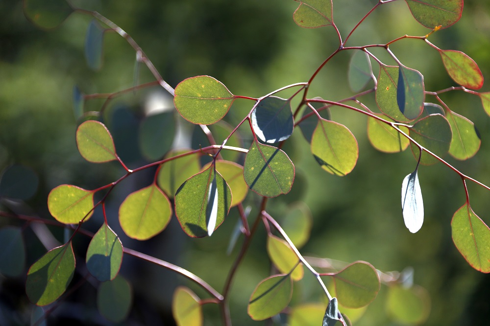 Re Bello, the Italian King of sustainable clothing Re Bello, the Italian King of sustainable clothing