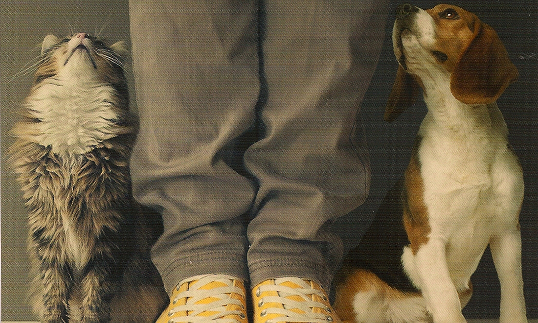 Paolo Maurensig, ‘Amori miei e altri animali’