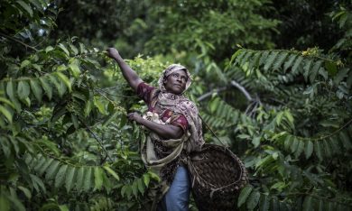 Le foto più belle della settimana – 20/26 febbraio