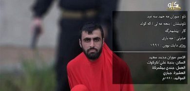 Stato islamico: la versione dei Paesi arabi