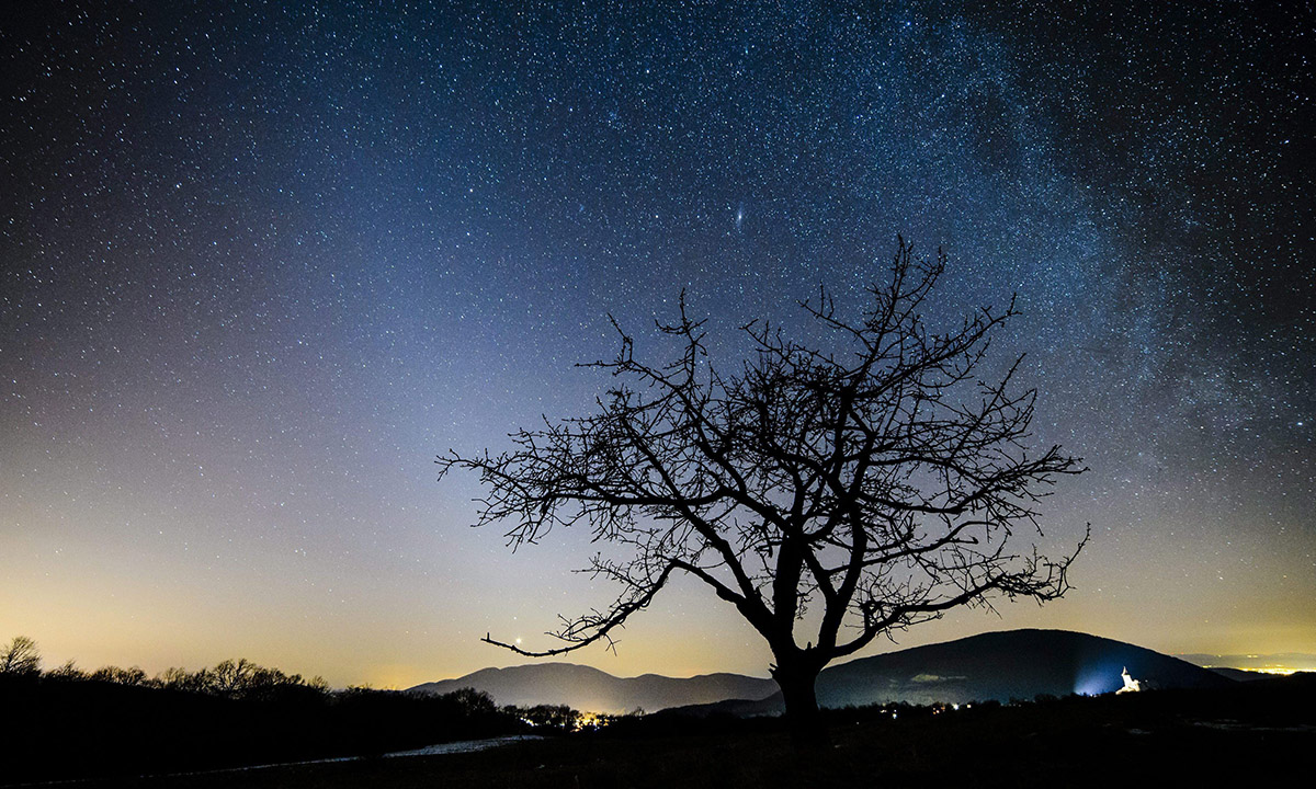 Le foto più belle della settimana – 13/19 febbraio
