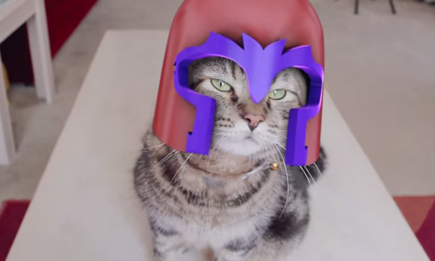 X-Men: il gatto Magneto