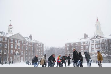 Niente sesso, siamo ad Harvard