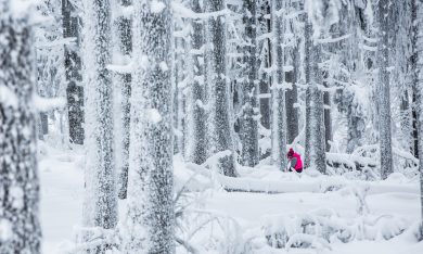 Le foto più belle dell’inverno