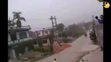 Nepal: rinoceronte uccide 1 donna e scatena il panico