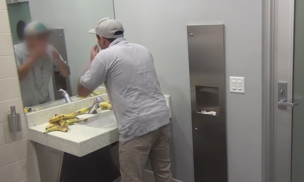 Lo scherzo del gorilla nel bagno