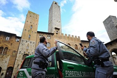 Il taglio dei Forestali: parte la protesta