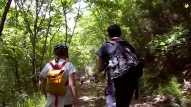 Educazione affettiva, estratto del documentario