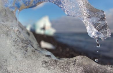 20 foto incredibili scattate con Lytro Illum