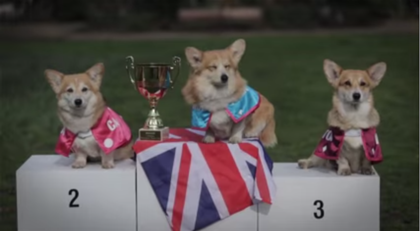 Il nome del royal baby te lo dice il Welsh Corgi Il nome del royal baby te lo dice il Welsh Corgi