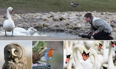 Oliver Hellowell, fotografo con la sindrome di Down