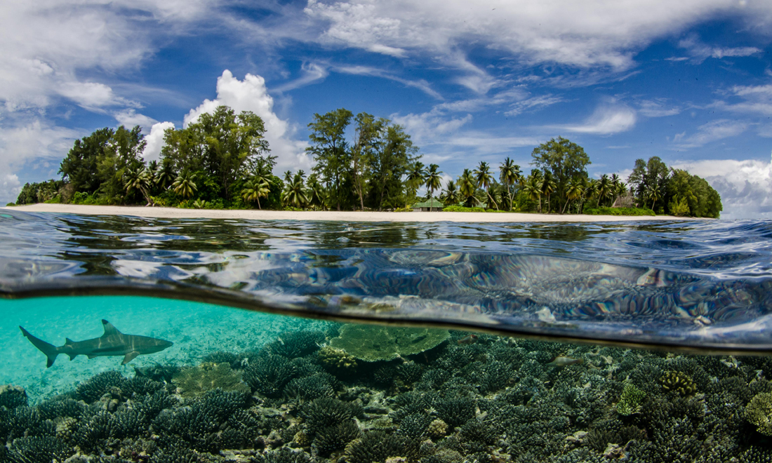 Viaggio, foto finaliste ai Sony Awards 2015 Viaggio, foto finaliste ai Sony Awards 2015