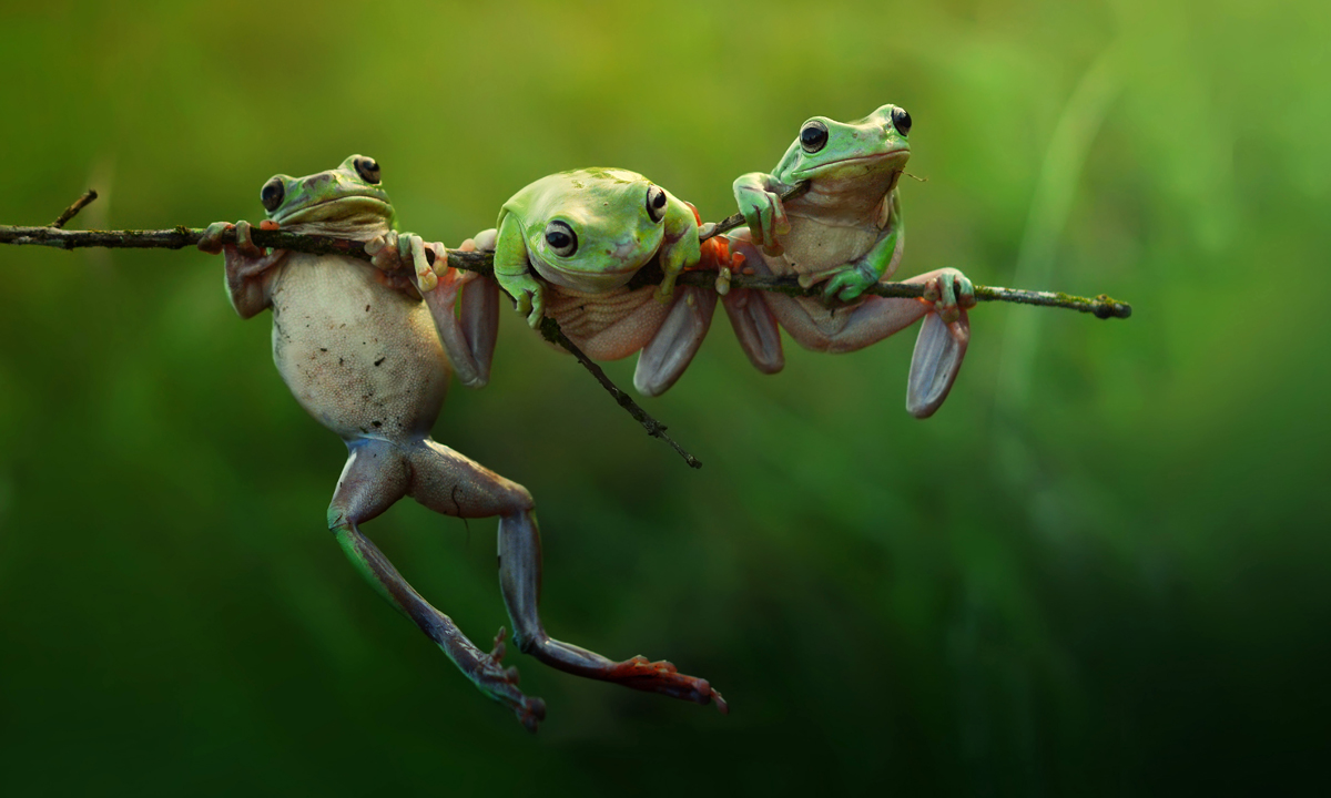 Natura, foto finaliste ai Sony Awards 2015 Natura, foto finaliste ai Sony Awards 2015