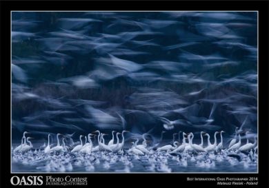 Natura, le più belle foto da tutto il mondo