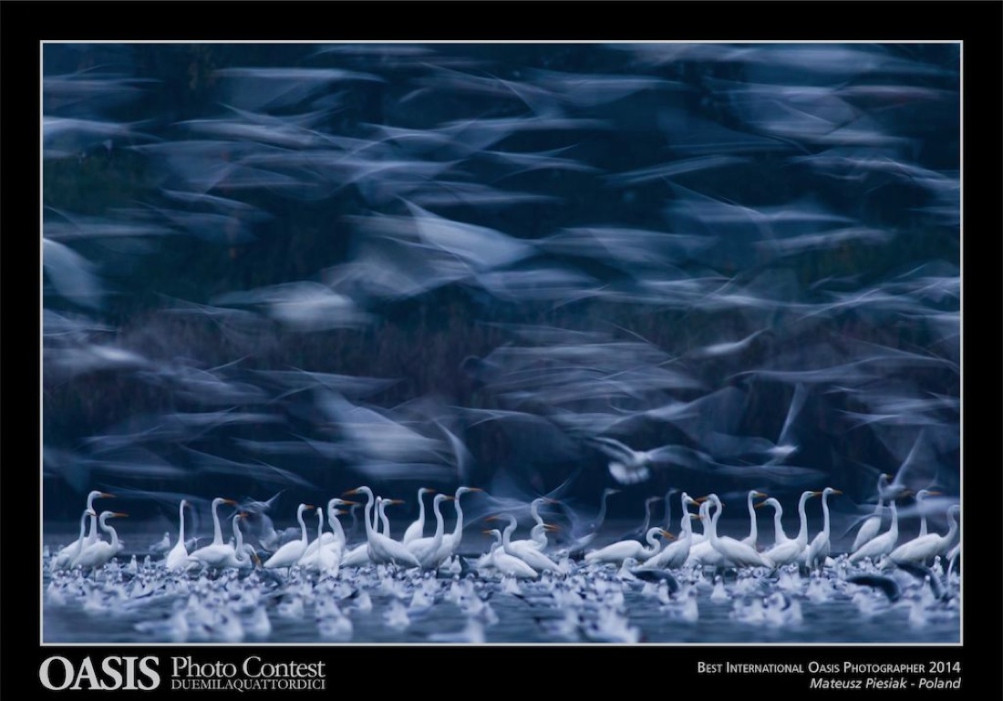 Natura, le più belle foto da tutto il mondo Natura, le più belle foto da tutto il mondo