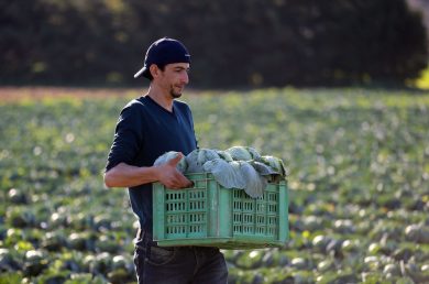 Il cibo come non ne ha mai parlato nessuno