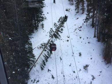 Cade un albero sulla cabinovia, sfiorata la tragedia. Le foto