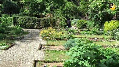 Expo in città: l’Orto Botanico di Brera