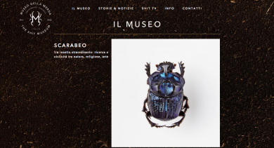 A Piacenza il museo che percorre la storia da un punto di vista… Particolare