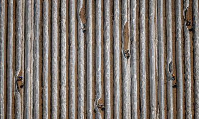 Le foto più belle della settimana – 10/16 aprile