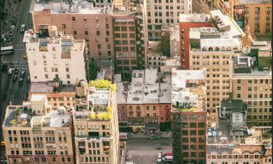 A New York c’è nuova vita sui tetti